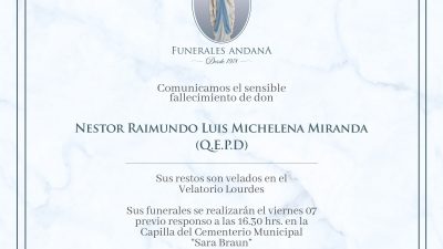 Nestor Raimundo Luis Michelena Miranda