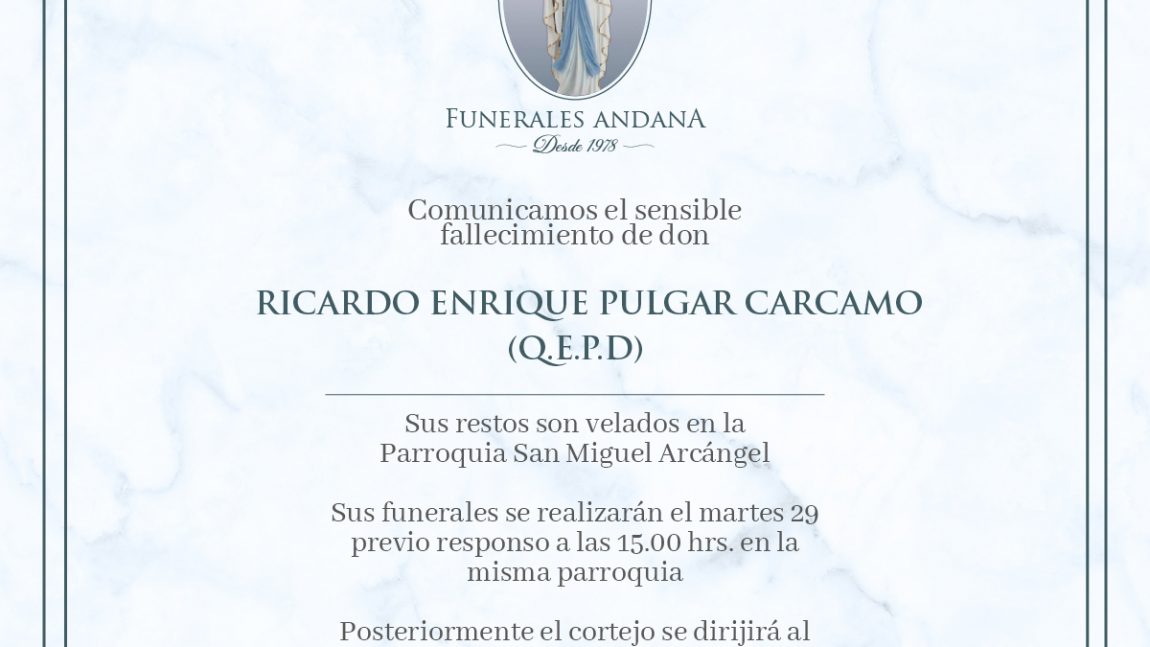 Ricardo Enrique Pulgar Carcamo
