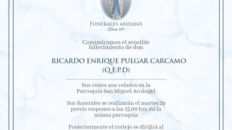 Ricardo Enrique Pulgar Carcamo