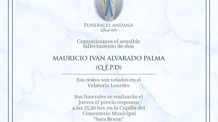 Mauricio Ivan Alvarado Palma