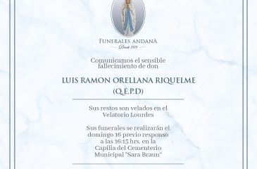 Luis Ramon Orellana Riquelme